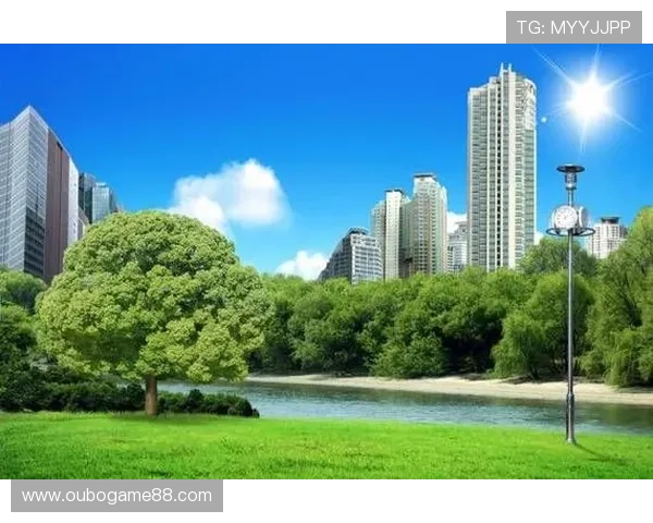 优化注册体验:PA视讯注册流程提升快速登录的便捷性